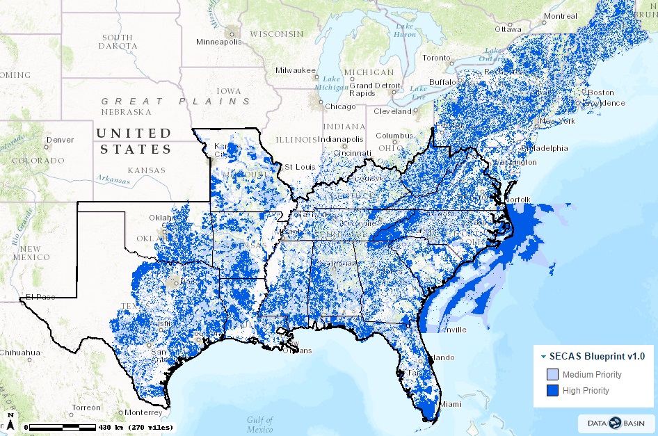 Map showing priorities from Southeast Blueprint 1.0.
